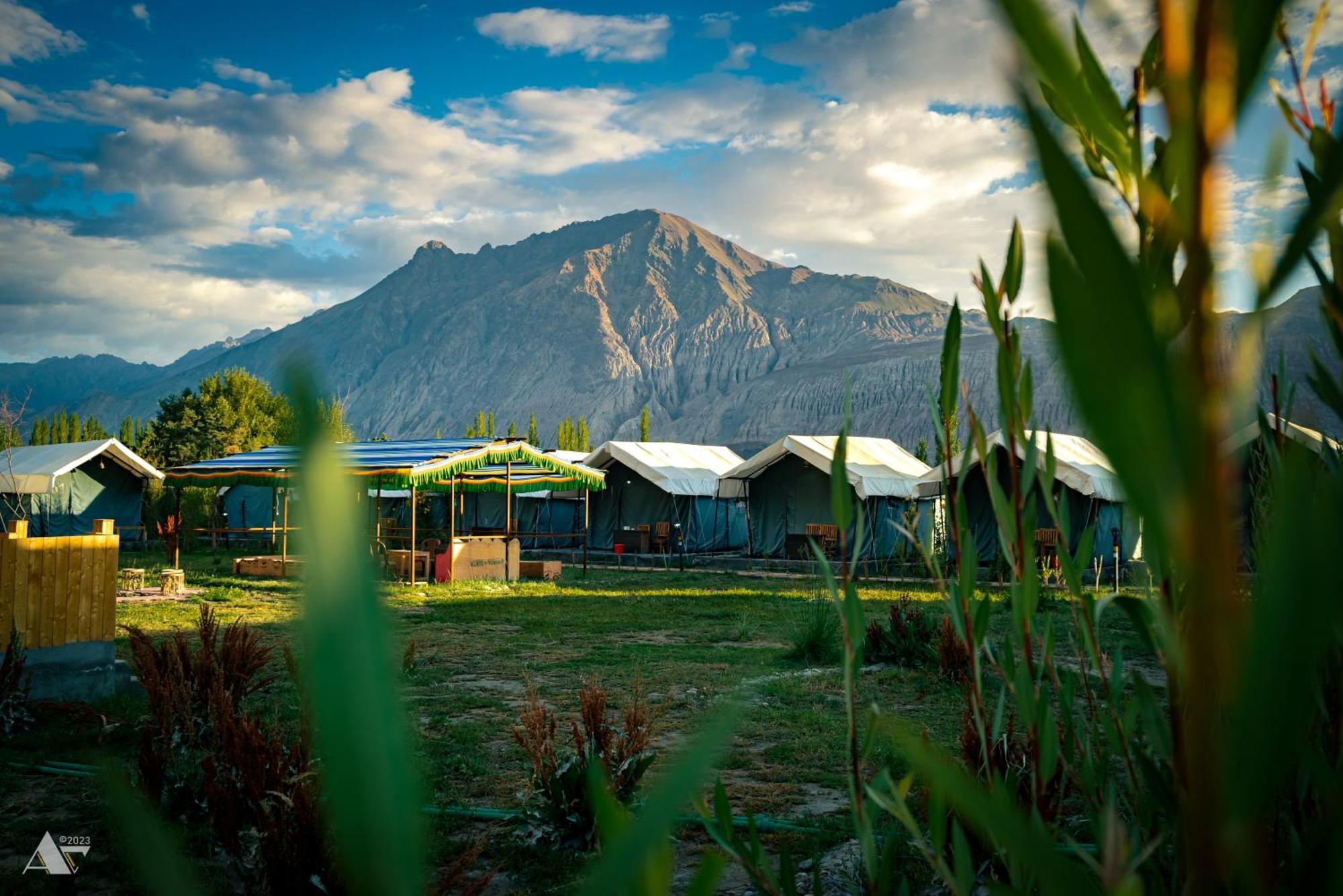 Green Throne Camp Bed & Breakfast Leh Eksteriør bilde